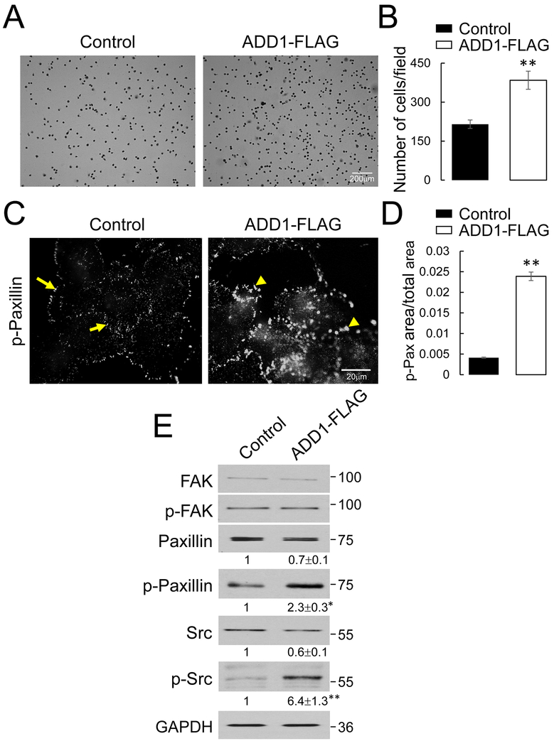 Figure 5: