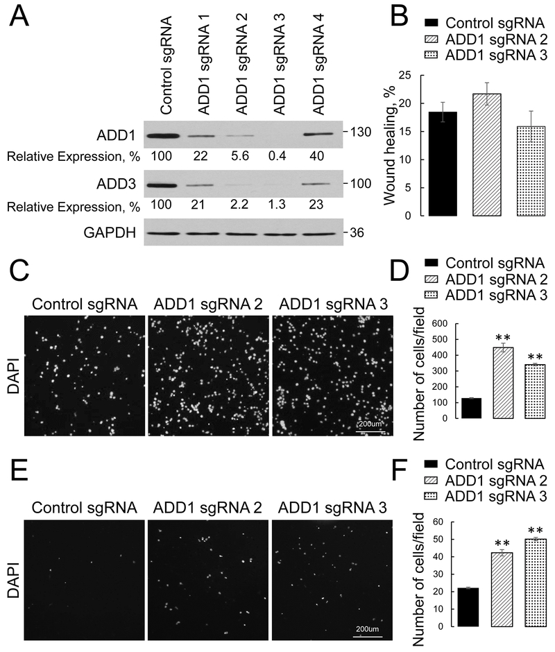 Figure 2: