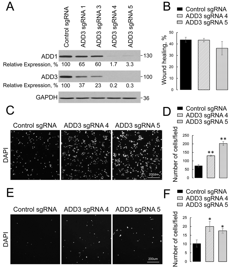 Figure 3: