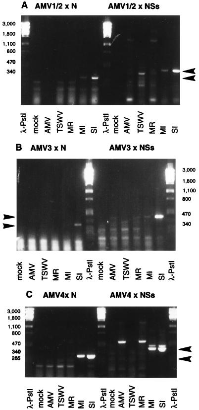 FIG. 3