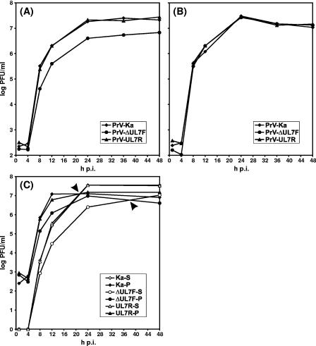 FIG. 5.