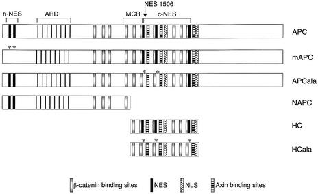 graphic file with name cdg105f1.jpg