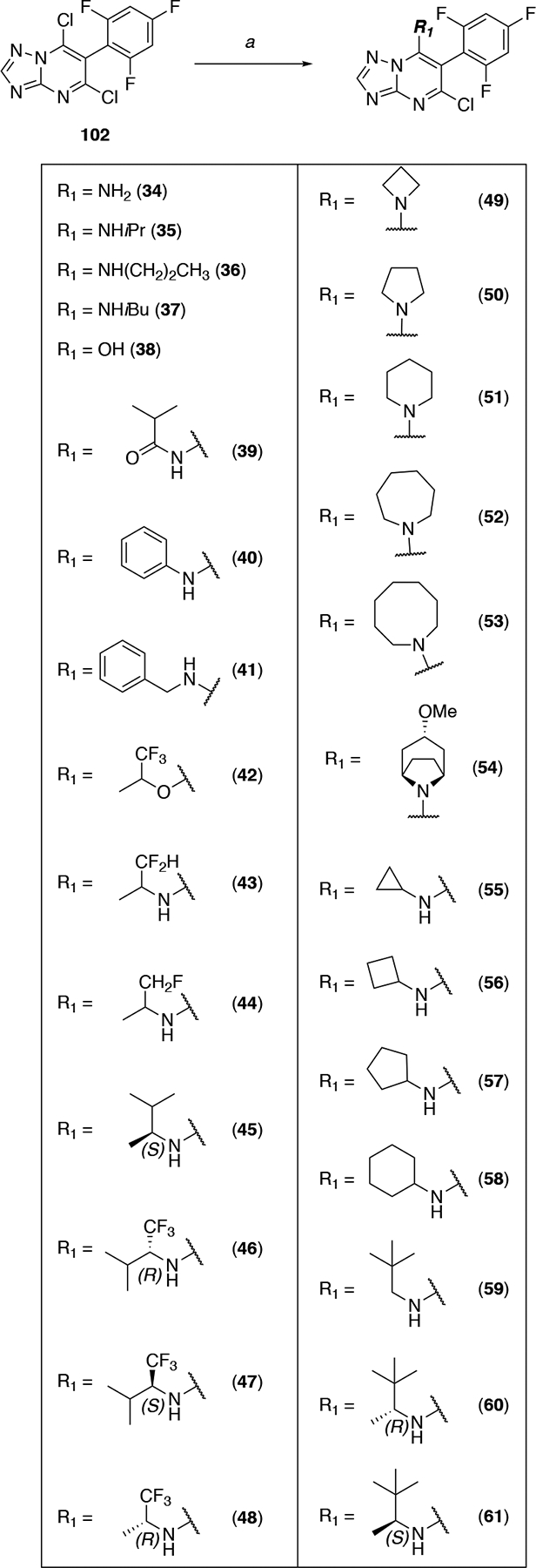 Scheme 3.