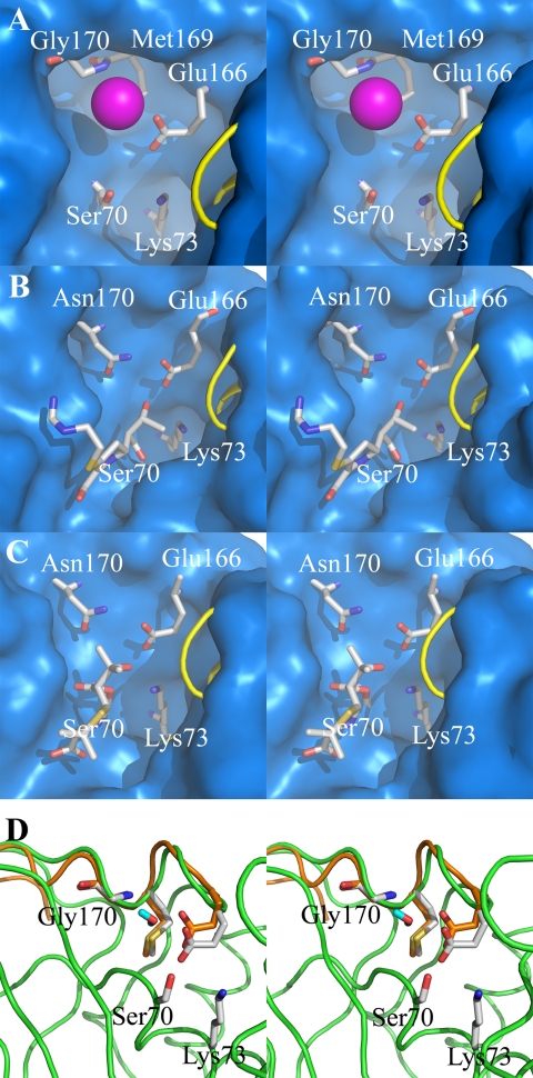 FIGURE 2.