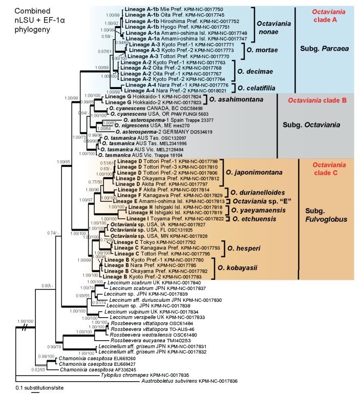 Fig. 3