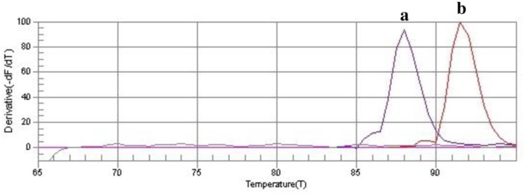 Fig. 3: