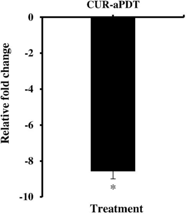 Fig. 4: