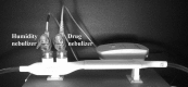 <b>FIG. 11.</b>