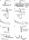 <b>FIG. 5.</b>