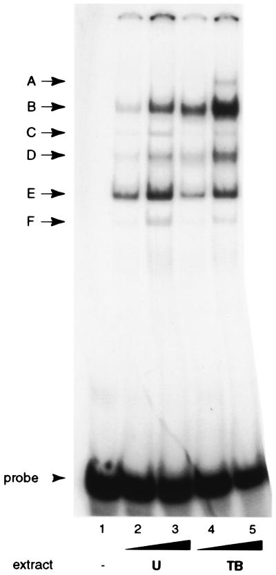 FIG. 6