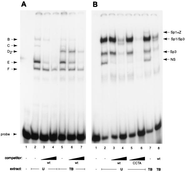 FIG. 8