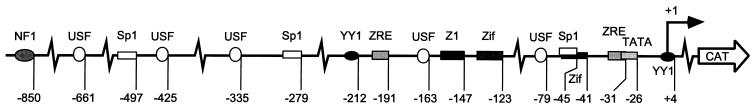 FIG. 1