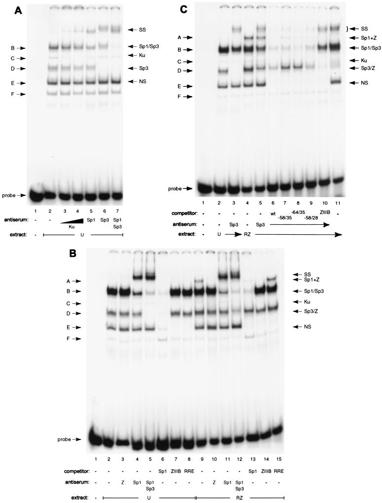 FIG. 7