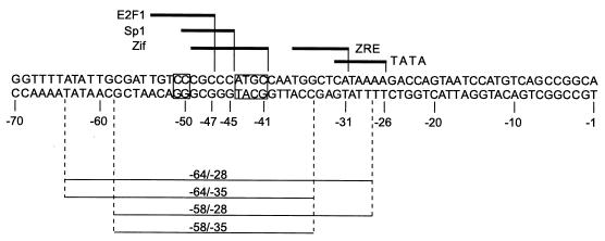 FIG. 5