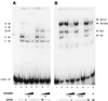 FIG. 8