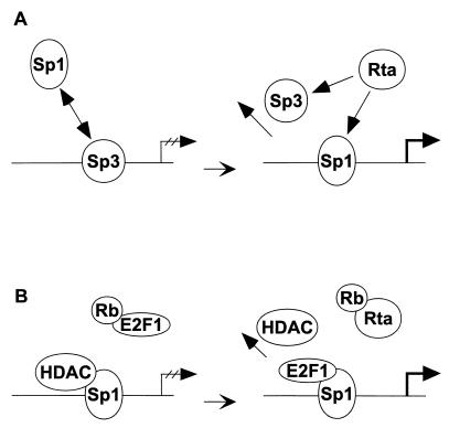 FIG. 10