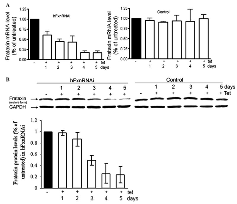 Fig. 10