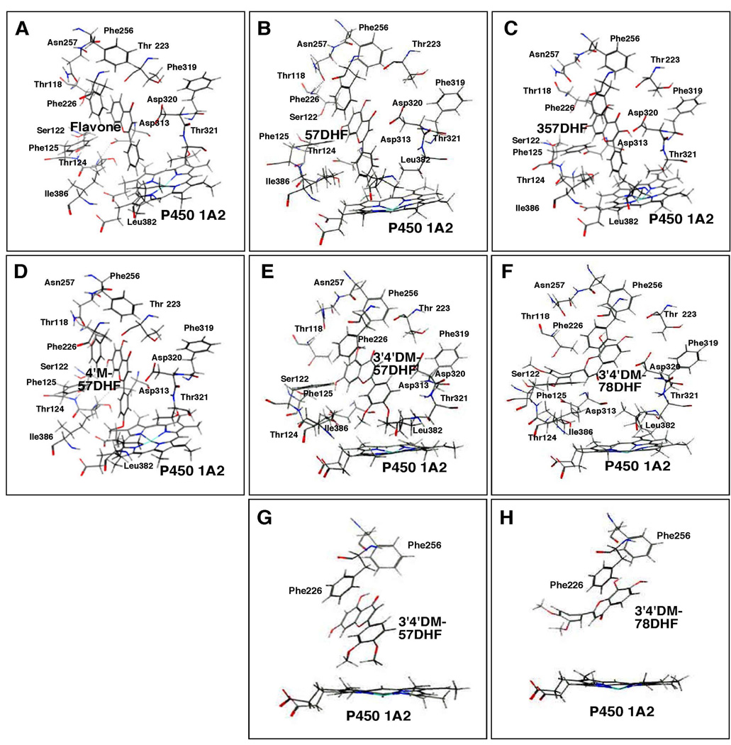 Figure 12