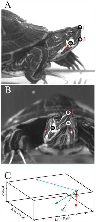 Fig. 1