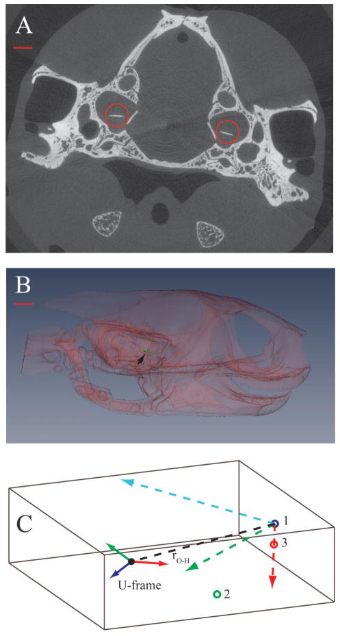 Fig. 2