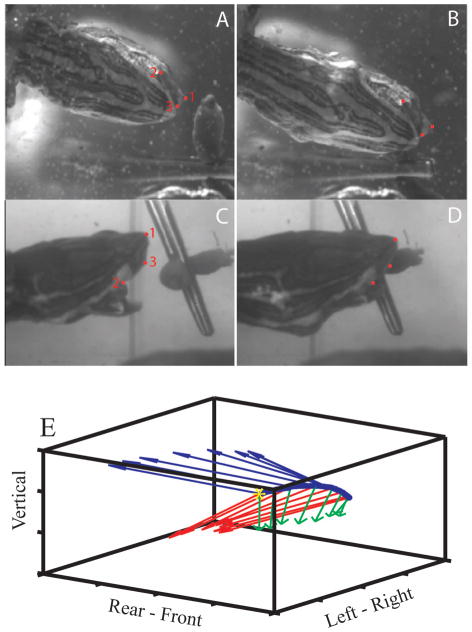 Fig. 3