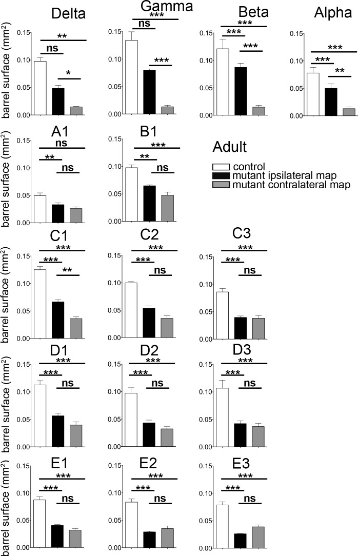 Figure 5—figure supplement 2.