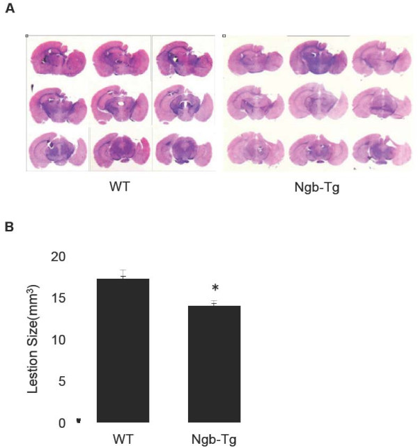 Figure 4 