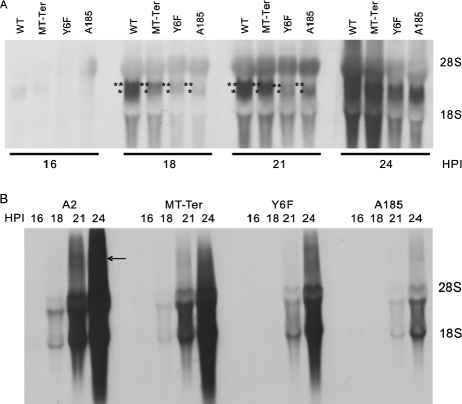 FIG. 6.