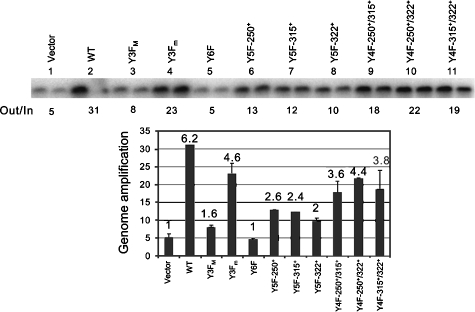 FIG. 8.