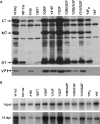 FIG. 9.