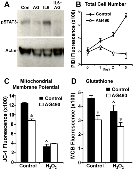 Figure 5