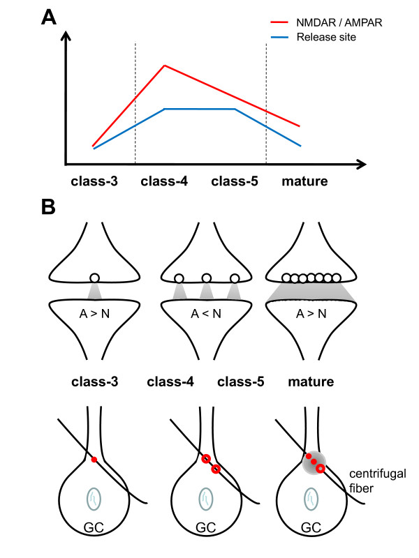 Figure 8