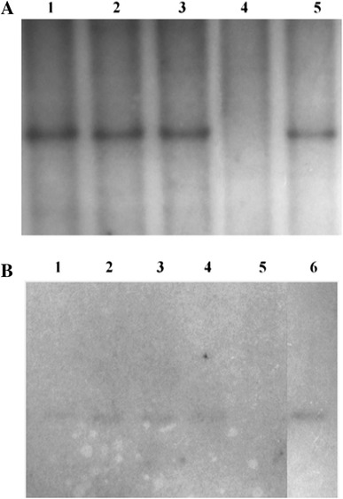 Fig. 4