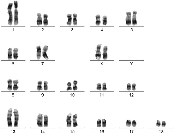 Fig. 3