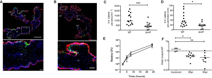 FIG 6