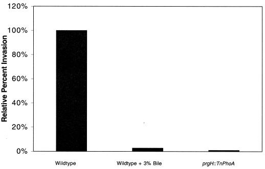 FIG. 6