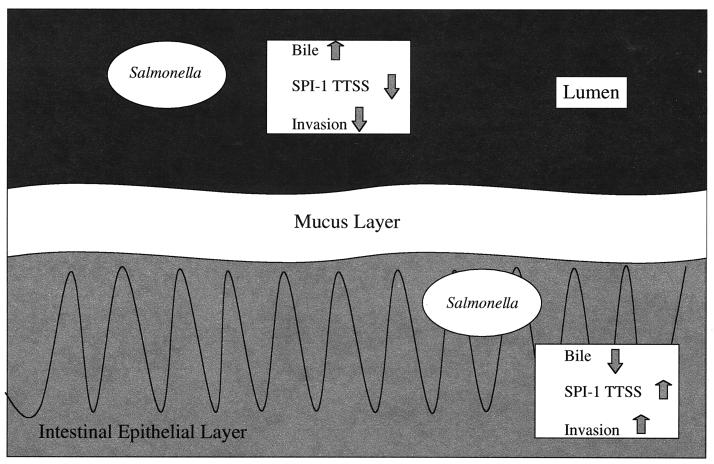 FIG. 7