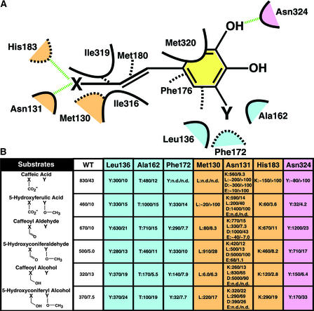 Figure 5.