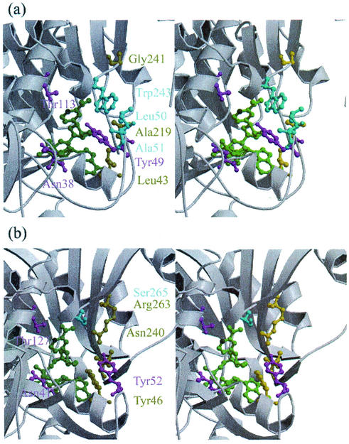 FIG. 8.