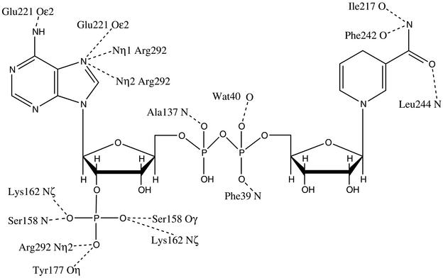 FIG. 6.