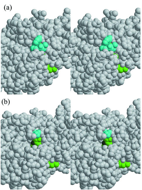 FIG.7.