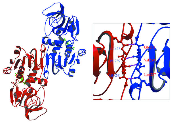 FIG. 4.