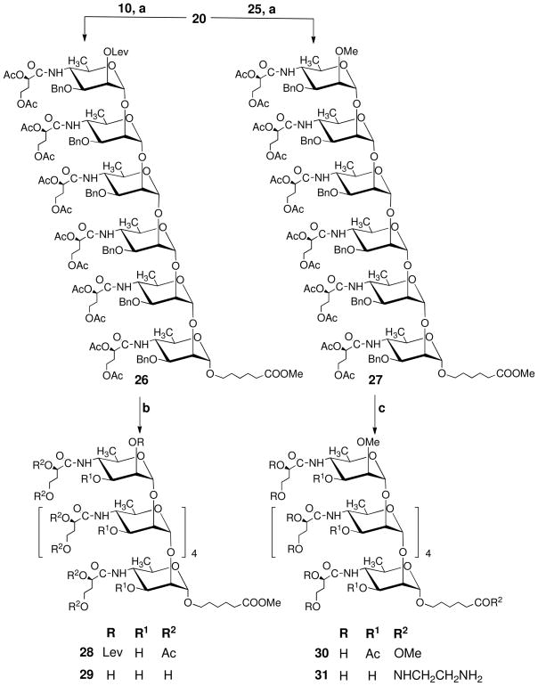 Scheme 4