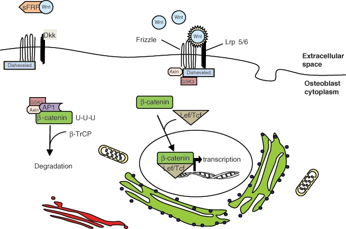 Figure 6.