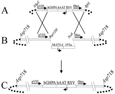 FIG. 1
