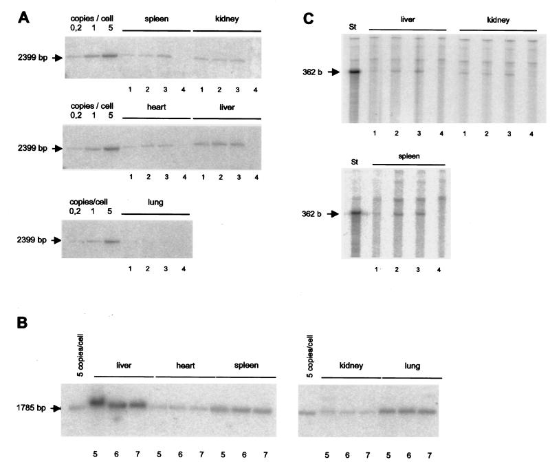 FIG. 4