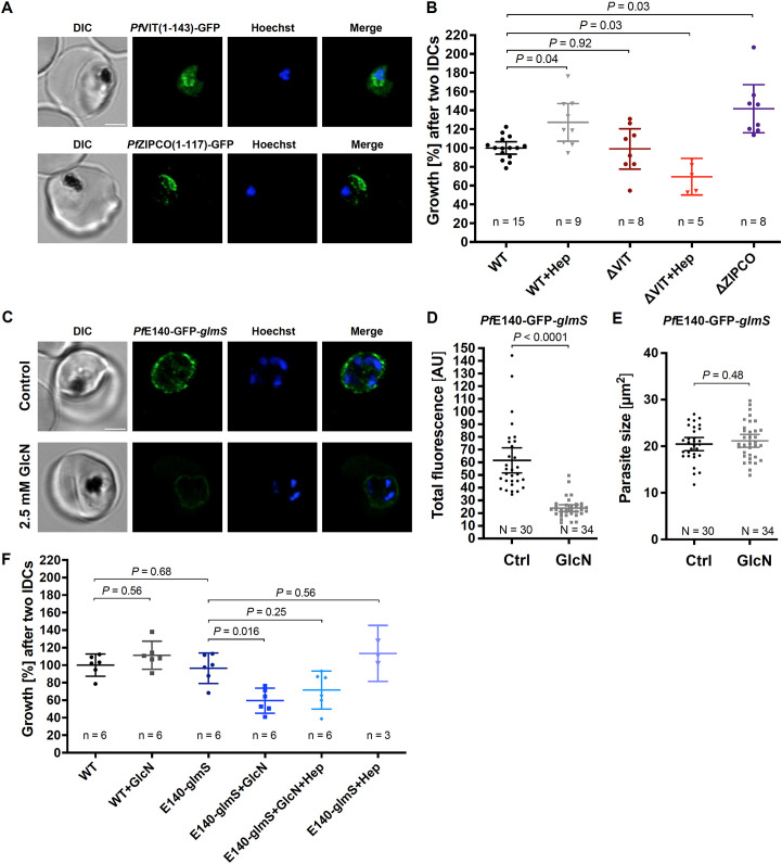 Figure 4