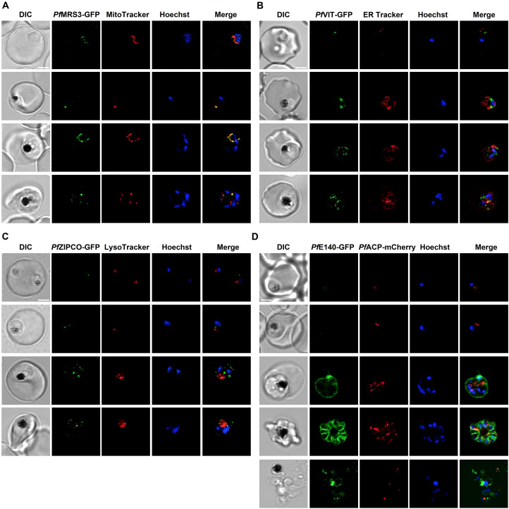 Figure 3