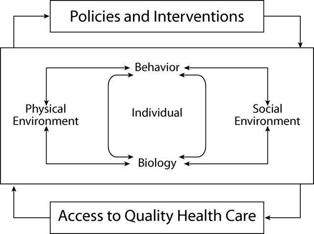 FIGURE 1—