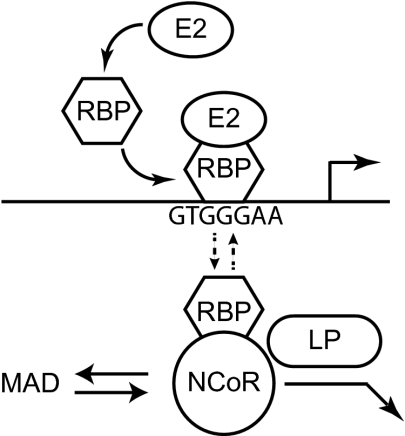 Fig. 4.